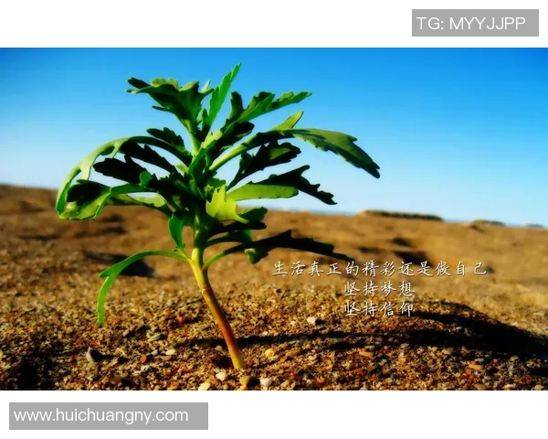 足球八卦背后藏的泪与奋斗 每一幕都是青春的告别与梦想的坚持